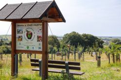 CTurpin - Sarreguemines Tourisme