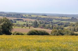 CTurpin - Sarreguemines Tourisme