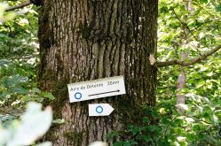 CTurpin_SarregueminesTourisme