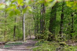 CTurpin_SarregueminesTourisme