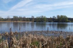 OT Saint-Avold Coeur de Moselle