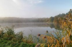 Facebook domaine du Oulenbach