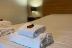 Kosy Appart Hotel