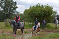 Ecole équitation Saint-Avold