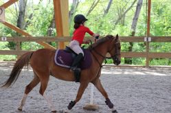 Ecole équitation Saint-Avold