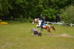 Ecole équitation Saint-Avold