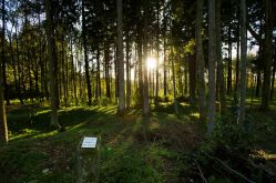 CDT Meuse/Guillaume Ramon