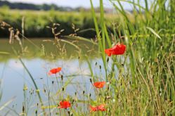 © Tourisme Grand Verdun / Cécile THOUVENIN 