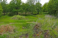 © Tourisme Grand Verdun / Marie JACQUINET
