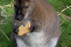 Restaurant Le Régal