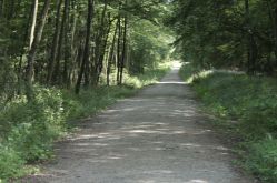 Sarreguemines Tourisme