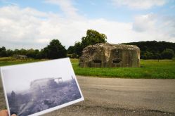 Les Carnets de Moselle Est