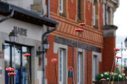 Cindy Turpin - Sarreguemines Tourisme