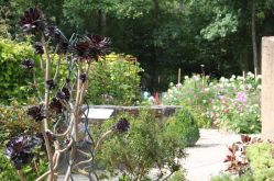Sarreguemines Tourisme