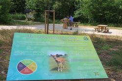Sarreguemines Tourisme