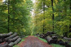 Autrement Vu - Sarreguemines Tourisme