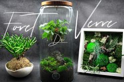 Foret de verre - Woustviller