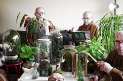 Foret de verre - Woustviller