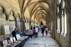 Sarah Beck - MDT Terres Touloises