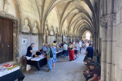 Sarah Beck - MDT Terres Touloises