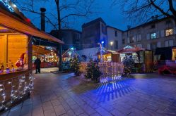 Pauline Louyot - MDT Terres Touloises