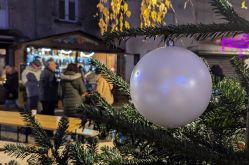 Pauline Louyot - MDT Terres Touloises