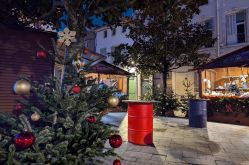 Pauline Louyot - MDT Terres Touloises