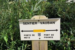 Sarah Beck - MDT Terres Touloises