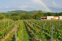 Domaine les béliers