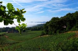 domaine les béliers