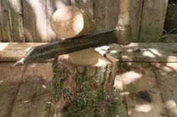 Parenthèse Nature /Site Web