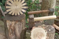 Parenthèse Nature /Site Web