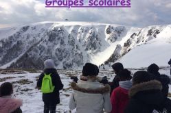 Philippe Poulet