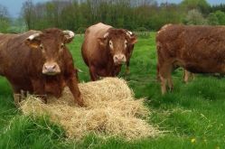 Ferme des Murats
