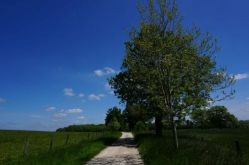 OT Mirecourt