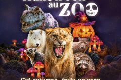 DR Zoo Amnéville