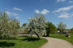 ferme fol épi