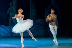 SPECTACLE SUR ÉCRAN - LE LAC DES CYGNES - BALLET DE L