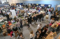 FOIRE BIO DE LA CUSSIGNIÈRE Du 19 au 20 oct 2024