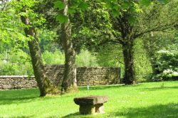 LES ARBRES FABULEUX DE CONS-LA-GRANDVILLE