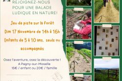 JEU DE PISTE SUR LE RÉSEAU ALIMENTAIRE FORESTIER Le 17 nov 2024