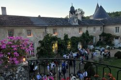 BALADE BOTANIQUE - LES JARDINS DU CHÂTEAU DE VILLE-AU-VAL