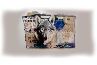 photo de Thierry Genochio