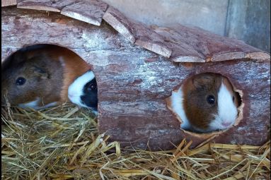 Ferme de l'Aquarelle