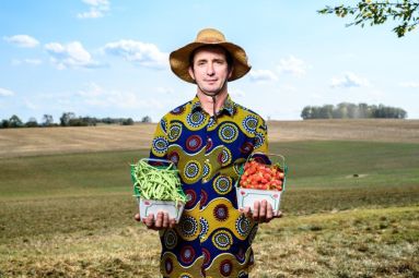 haricots cueillis main