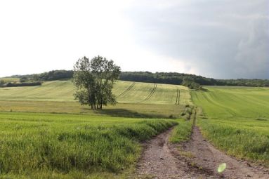 Campagne - ADT 54