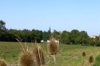 MDT Lunévillois