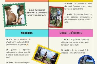 SABOTS EN GOGUETTE