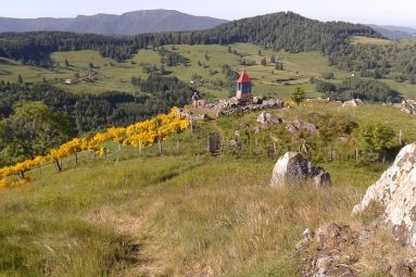Randosudvosges