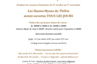 LES HAUTES MYNES DU THILLOT